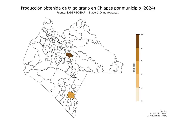 Producción obtenida de trigo en Chiapas por municipio