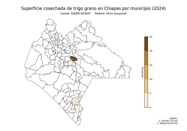 Superficie cosechada de trigo en Chiapas por municipio