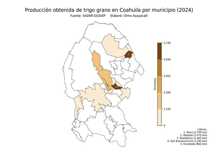 Producción obtenida de trigo en Coahuila por municipio