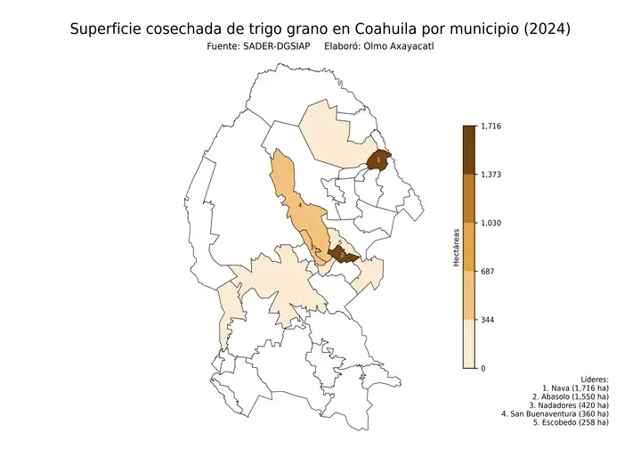 Superficie cosechada de trigo en Coahuila por municipio