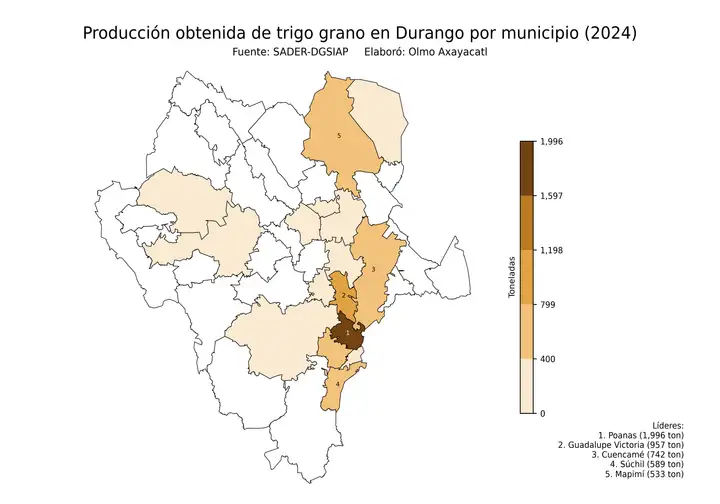 Producción obtenida de trigo en Durango por municipio