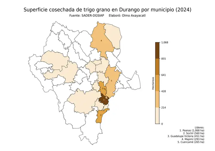 Superficie cosechada de trigo en Durango por municipio