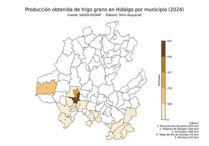 Producción obtenida de trigo en Hidalgo por municipio