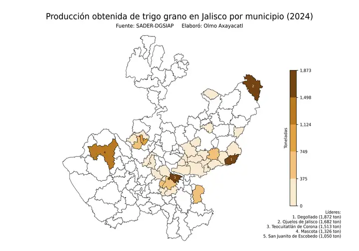 Producción obtenida de trigo en Jalisco por municipio