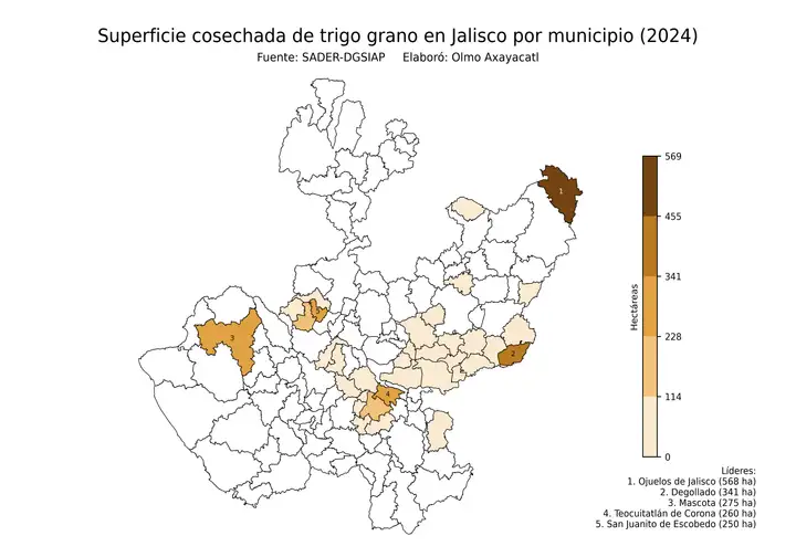 Superficie cosechada de trigo en Jalisco por municipio
