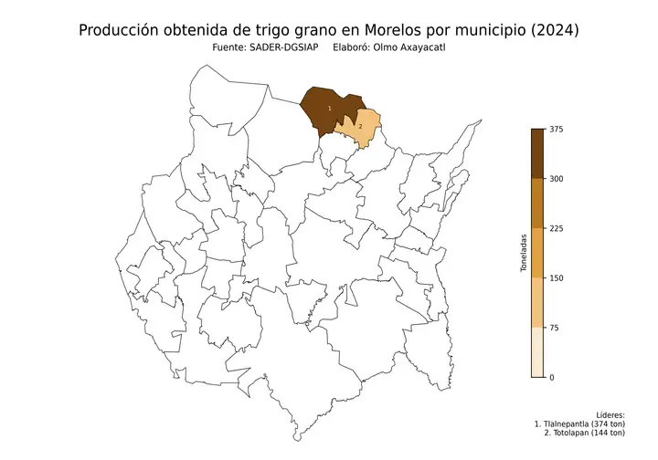 Producción obtenida de trigo en Morelos por municipio