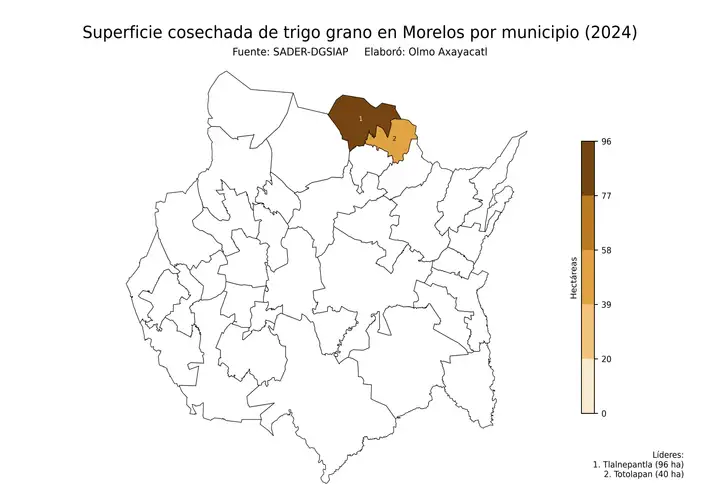 Superficie cosechada de trigo en Morelos por municipio