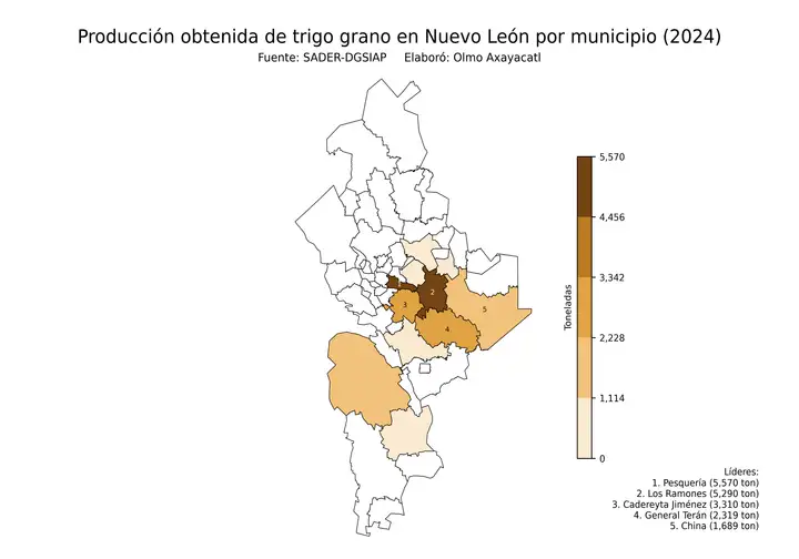 Producción obtenida de trigo en Nuevo León por municipio