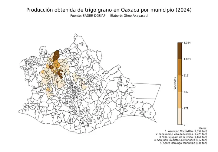 Producción obtenida de trigo en Oaxaca por municipio