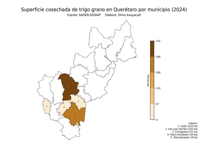 Superficie cosechada de trigo en Querétaro por municipio