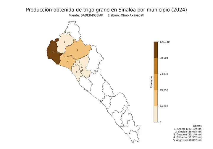 Producción obtenida de trigo en Sinaloa por municipio