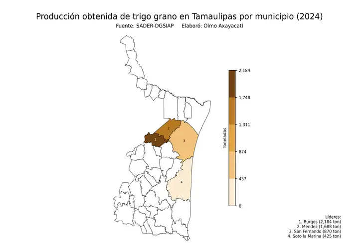 Producción obtenida de trigo en Tamaulipas por municipio