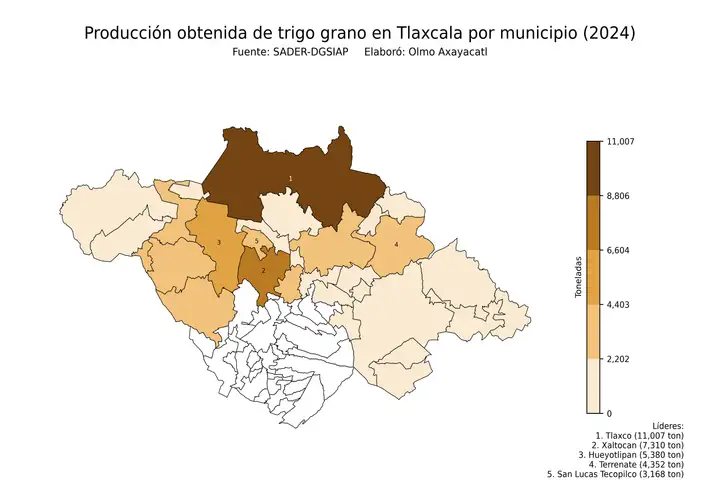 Producción obtenida de trigo en Tlaxcala por municipio