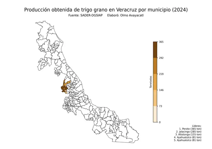 Producción obtenida de trigo en Veracruz por municipio