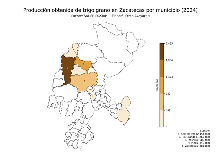 Producción obtenida de trigo en Zacatecas por municipio