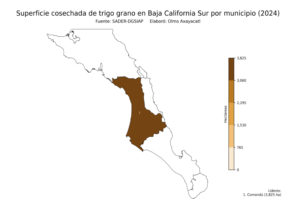 México Producción Agrícola Trigo grano Baja California Sur (superficie cosechada)
