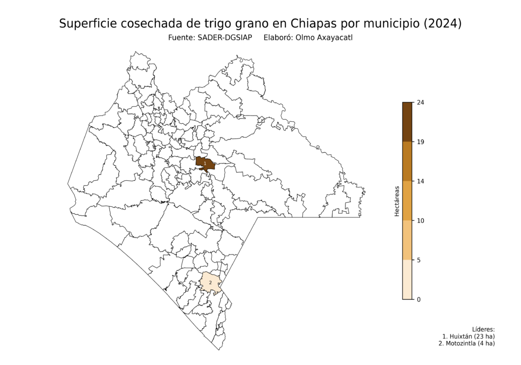 México Producción Agrícola Trigo grano Chiapas (superficie cosechada)