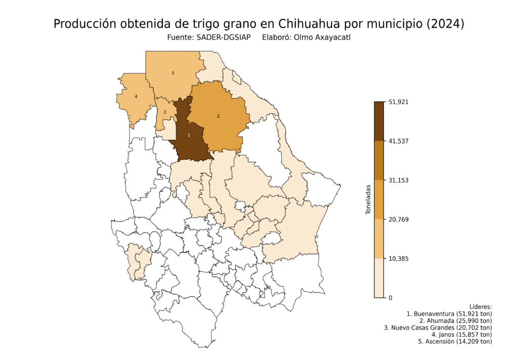 México Producción Agrícola Trigo grano Chihuahua (producción obtenida)
