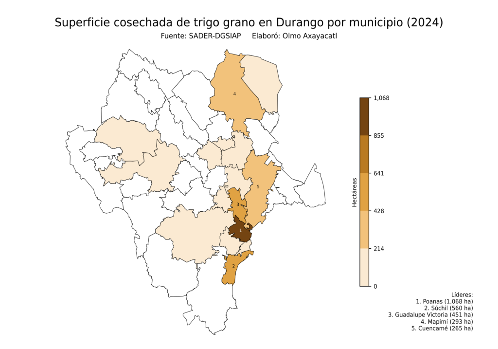 México Producción Agrícola Trigo grano Durango (superficie cosechada)