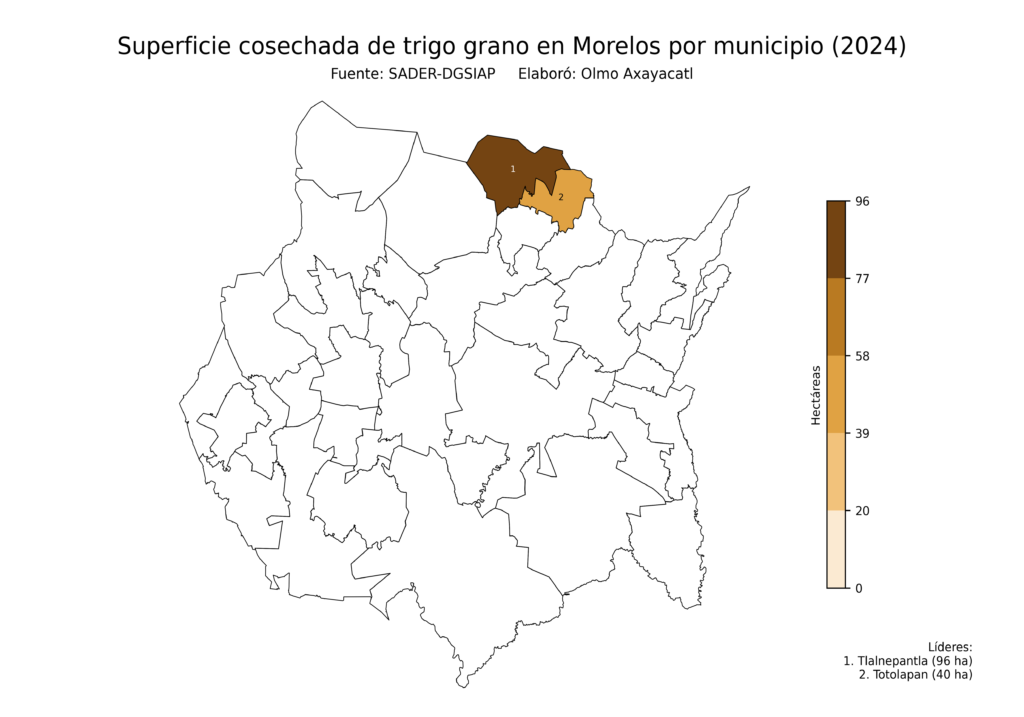 México Producción Agrícola Trigo grano Morelos (superficie cosechada)