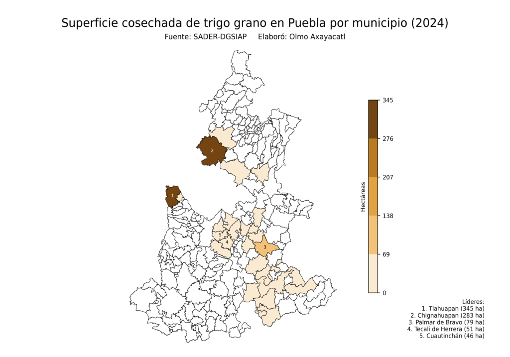 México Producción Agrícola Trigo grano Puebla (superficie cosechada)