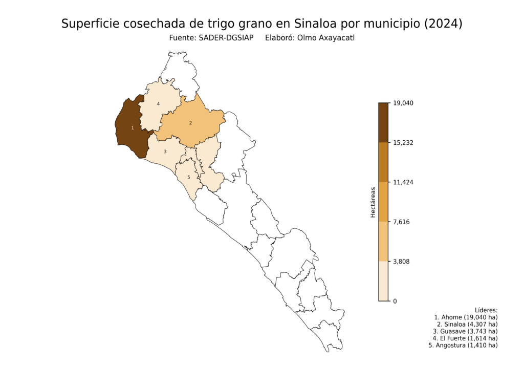 México Producción Agrícola Trigo grano Sinaloa (superficie cosechada)
