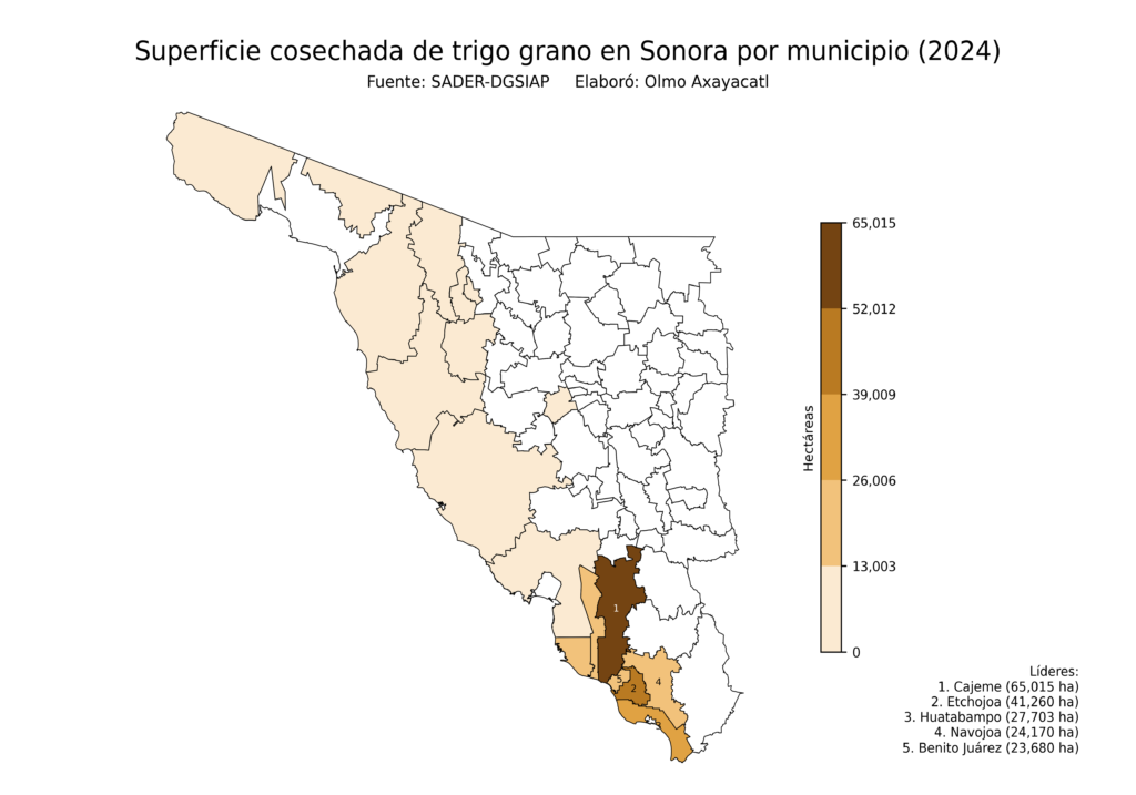 México Producción Agrícola Trigo grano Sonora (superficie cosechada)