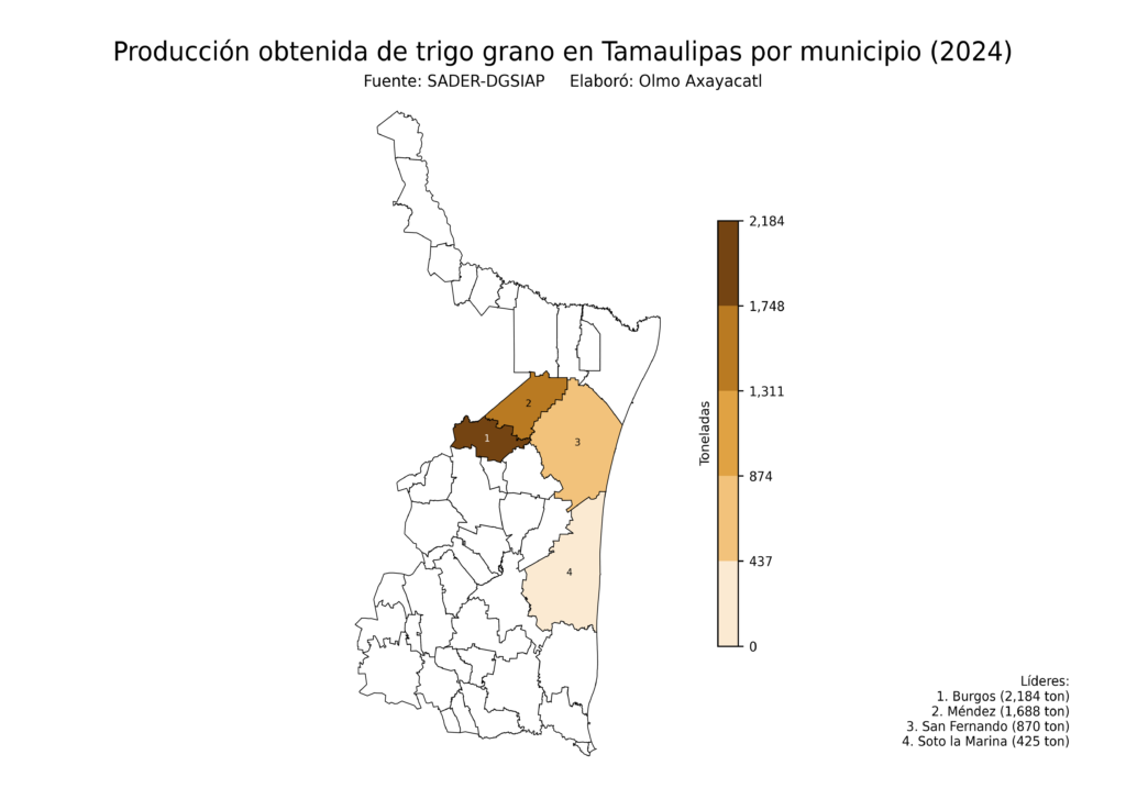 México Producción Agrícola Trigo grano Tamaulipas (producción obtenida)