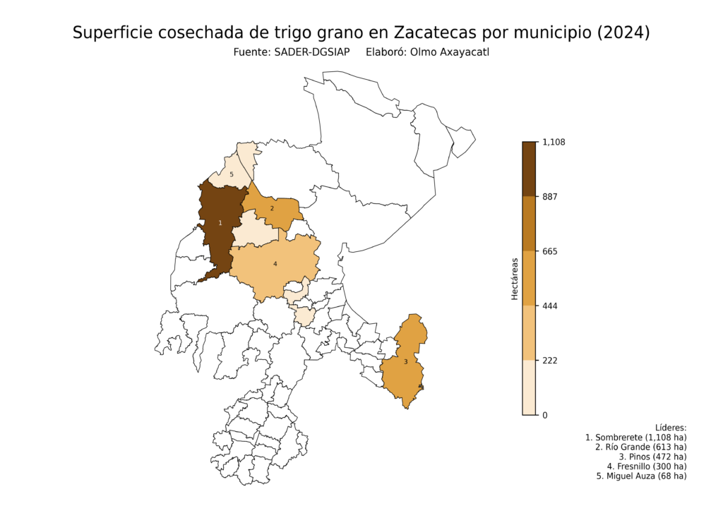 México Producción Agrícola Trigo grano Zacatecas (superficie cosechada)
